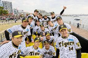 Baseball: Hanshin victory parade
