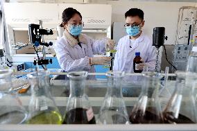 Private enterprise R&D in Zaozhuang