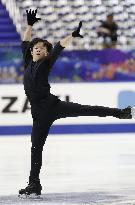 Figure skating: NHK Trophy