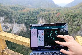 Yachangorchids National Nature Reserve Smart Management Digitization in Baise