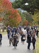 Imperial Palace opens to public for autumn foliage