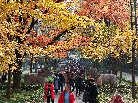 Tourists Play on a 600-meter-long SHIXIANG Road at The Ming Xiaoling Mausoleum in Nanjing