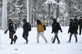 Situation on the eastern border of Finland