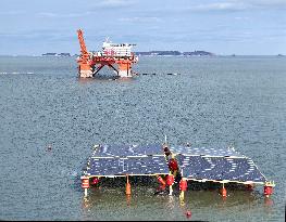 China First Offshore Floating Photovoltaic Demonstration Base Put into Operation in Yantai