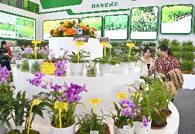 CHINA-GUANGXI-NANNING-FORESTRY INDUSTRY CONFERENCE (CN)