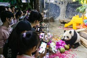 CHINA-HAINAN-HAIKOU-GIANT PANDA (CN)