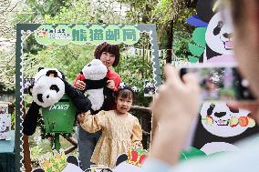 CHINA-HAINAN-HAIKOU-GIANT PANDA (CN)