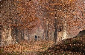 KASHMIR-SRINAGAR-AUTUMN SCENERY