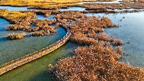 Heihe Wetland National Nature Reserve in Zhangye