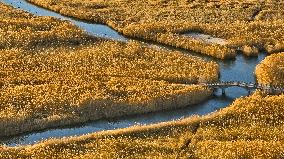 Heihe Wetland National Nature Reserve in Zhangye