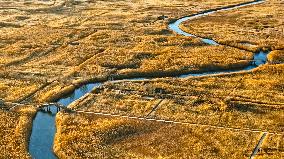 Heihe Wetland National Nature Reserve in Zhangye