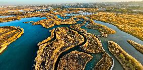 Heihe Wetland National Nature Reserve in Zhangye