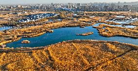 Heihe Wetland National Nature Reserve in Zhangye