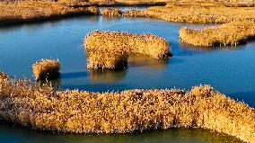 Heihe Wetland National Nature Reserve in Zhangye