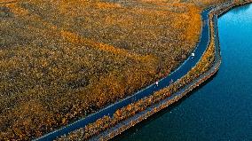 Heihe Wetland National Nature Reserve in Zhangye