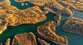 Heihe Wetland National Nature Reserve in Zhangye