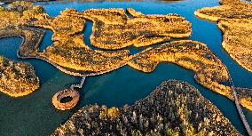 Heihe Wetland National Nature Reserve in Zhangye