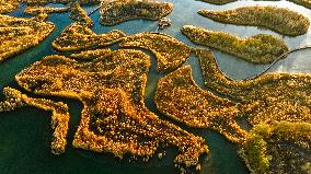 Heihe Wetland National Nature Reserve in Zhangye