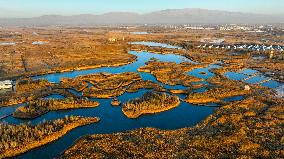 Heihe Wetland National Nature Reserve in Zhangye