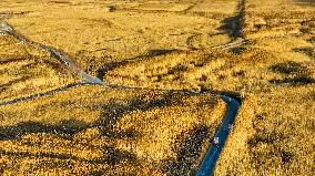 Heihe Wetland National Nature Reserve in Zhangye