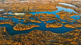 Heihe Wetland National Nature Reserve in Zhangye