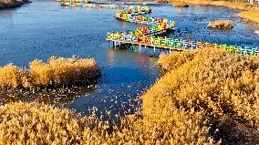 Heihe Wetland National Nature Reserve in Zhangye