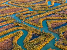 Reed Maze in Hongze Lake wetland in Suqian