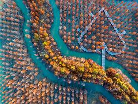 Reed Maze in Hongze Lake wetland in Suqian