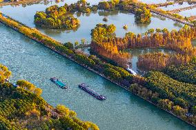 Wetland Scenery in Shanghai