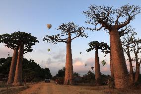 MADAGASCAR-MORONDAVA-HOT AIR BALLOON