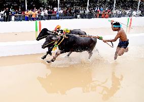INDIA-BENGALURU-KAMBALA-BUFFALO-RACE