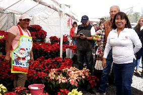 The Christmas Eve Flower Fair Begins In Mexico