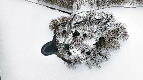 Swimming in Winter