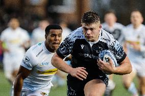 Newcastle Falcons v Exeter Chiefs - Gallagher Premiership Rugby