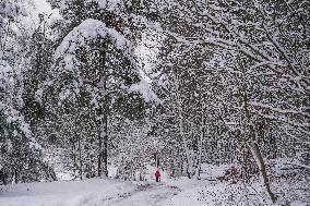 Winter Hits Poland, Gdansk