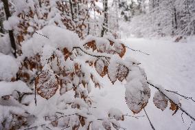 Winter Hits Poland, Gdansk