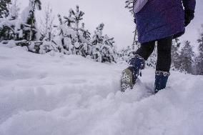 Winter Hits Poland, Gdansk