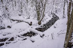 Winter Hits Poland, Gdansk