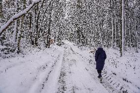 Winter Hits Poland, Gdansk