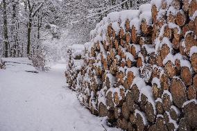 Winter Hits Poland, Gdansk