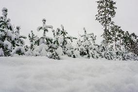 Winter Hits Poland, Gdansk