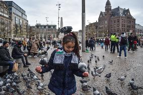 Pro-Palestine Rally - Amsterdam