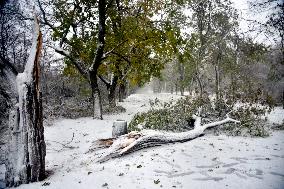 Snowfall and storm in Odesa