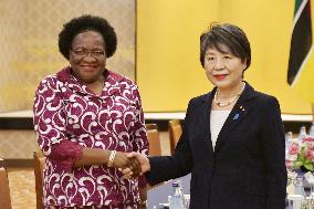 Japan-Mozambique talks