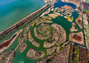 Chengzi Lake Wetland in Suqian