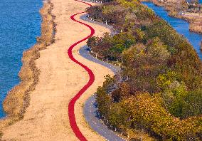 Chengzi Lake Wetland in Suqian