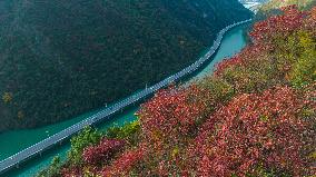 An Ecological Road on The Water in Yichang