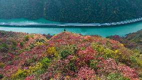 An Ecological Road on The Water in Yichang