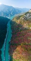 An Ecological Road on The Water in Yichang