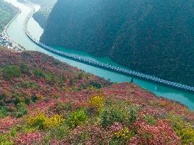 An Ecological Road on The Water in Yichang